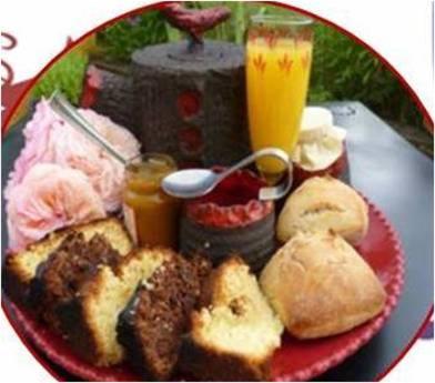 Le Nid Perche Bed and Breakfast Saint-Sauveur-en-Puisaye Buitenkant foto